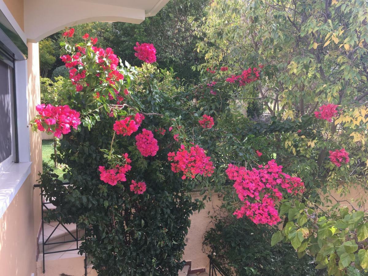Villa Tzitzifies Kourouklata エクステリア 写真